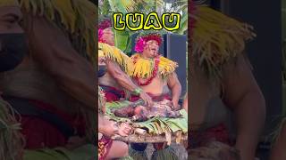 Taste Testing Hawaiian Flavors at Chiefs Luau [upl. by Ameekahs875]