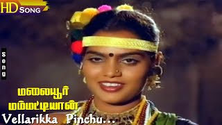 Vellarikka Pinchu HD  Gangai Amaran  SPSailaja  Malaiyoor Mambattiyan  Tamil Hit Songs [upl. by Munsey]