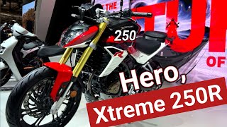 Finally Hero Xtreme 250R New Launched 😱 Price Feature Review xtreme250r HeroMotoCorp [upl. by Flor646]