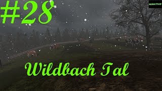 LP28 Wildbach Tal LS17 Die Kühe kommen [upl. by Yetty]