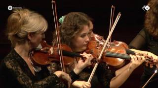 SaintSaëns Havanaise Op 83  Concertgebouw Chamber Orchestra  Live concert HD [upl. by Ainessey]