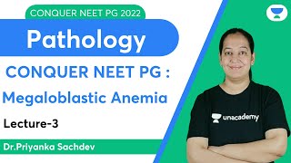 Conquer NEET PG 2022 Megaloblastic Anemia  Pathology  Lets crack NEET PG  DrPriyanka Sachdev [upl. by Hidie270]