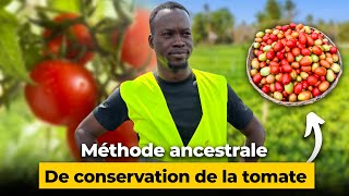 Conserve ta tomate mieux sans frigo [upl. by Roxi]