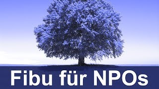 Finanzbuchhaltung Fibu für NonprofitOrganisationen NPOs [upl. by Nylrac]