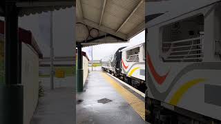 TranzAlpine Train in South New Zealand [upl. by Hanoy37]