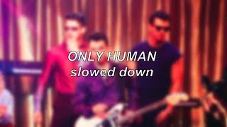 Jonas Brothers  Only Human  Slowed Down [upl. by Mancino]