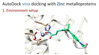 1 Environment setup  AutoDock vina docking with Zinc metalloproteins [upl. by Alrahs108]