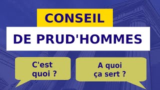 LE CONSEIL DE PRUDHOMMES rôle et composition [upl. by Caz306]