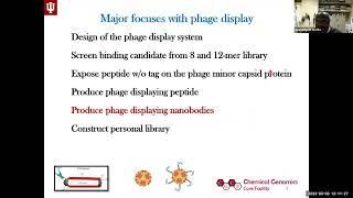 RNA and DNA Phage Display Systems and Their Application in the CGCF [upl. by Irab404]