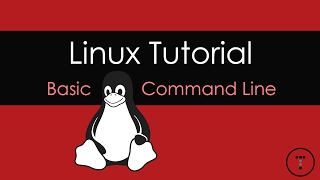 Linux Tutorial  Basic Command Line [upl. by Tami]