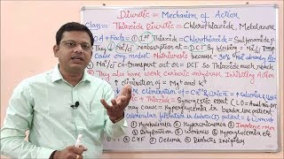 Diuretic Part 06 Thiazide Diuretic Mechanism of Action  Thiazide Diuretics  Diuretics Classi [upl. by Nnomae]