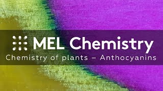 “Anthocyanins“ from the “Chemistry of plants“ set [upl. by Elspet]