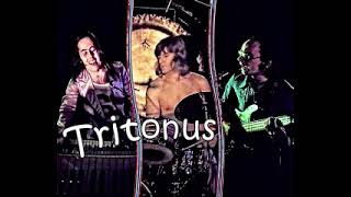 Tritonus  Tritonus  1975  Full Album [upl. by Einnhoj]