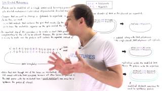 SiteDirected Mutagenesis [upl. by Adnilreb]