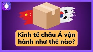 Nền kinh tế Châu Á vận hành như thế nào Sách Tinh Gọn [upl. by Nnod442]