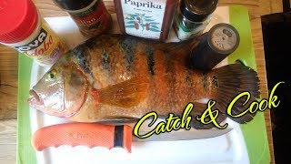 Catch and Cook MAYAN CICHLIDS [upl. by Balfore]