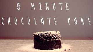 5 Minute Chocolate Cake  Filmed with Nikon D3200 [upl. by Yemirej]