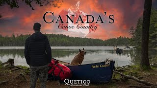 Classic Canadian Canoe trip  INCREDIBLE CLOSE ENCOUNTER with a Moose  Quetico Provincial Park [upl. by Hilton]