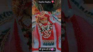 🙏💕Radhekrishna🙏💕 श्री राधेकृष्ण⚘️l हरे कृष्णा हरे रामा l रामा रामा हरे हरे🙏l shortsfeeds subscribe [upl. by Nnylrefinnej457]