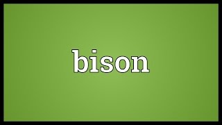 Bison Meaning [upl. by Czarra285]