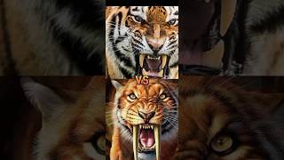 tiger vs smilodon vs mamoth elephant mammothdire wolfrhino elasmotheriumshort faced bearetc [upl. by Elcin769]