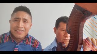 HUAYNO SENTIMENTAL ARPA amp VIOLIN  QANTUCHA DE PARINACOCHAS amp ANDRES ATOCCSA [upl. by Onitselec751]