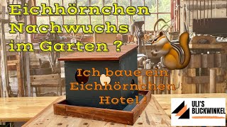 Eichhörnchen Nachwuchs im Garten  Das wäre ein Traum Ich baue ein Eichhörnchen Hotel [upl. by Neom]