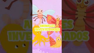 ¡Explora los Animales Invertebrados en 60 Segundos 🐙🦋🪲 Vídeo educativo para niñosvideoseducativos [upl. by Faber409]