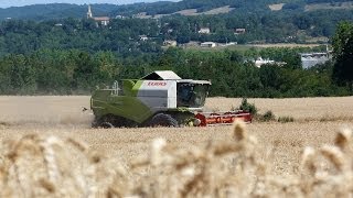 Harvest with Claas Tucano 430 [upl. by Ayotl]