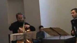 Bach Sonata BWV 1029 1 played by Brunello amp Battiston [upl. by Alrahs]