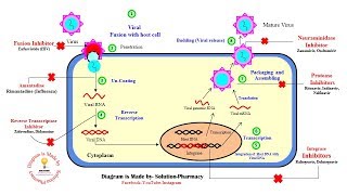 Antiviral Drugs  Classification of Antiviral Drugs  Mechanism amp Site of Action of Antiviral Drugs [upl. by Jaqitsch156]