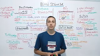 Blood Stream Infections  Sepsis amp Septic Shock Bacteriemia Toxic Shock  Dr Mohamed El Kot [upl. by Liebowitz]