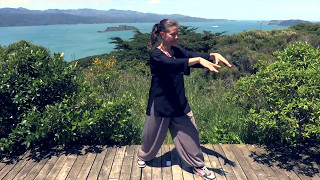 Tai Chi 5 Minutes a Day Module 01  Easy for Beginners  the Wave and Embracing the Moon [upl. by Aleak499]