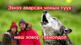 Эзнээ аварсан чонын түүх Гоё Түүхүүд Goy tuuhuud mongol heleer kino duu barimtat kino 2024 [upl. by Ivah]