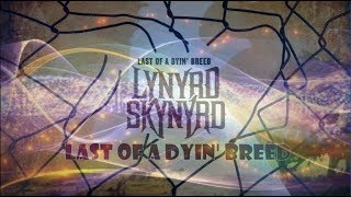 Lynyrd Skynyrd  Last of a dyin breed [upl. by Weeks6]