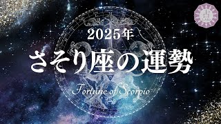 【占い】健康に注意しながらより高く、より深く…！2025年さそり座の運勢！【西洋占星術 蠍座】 [upl. by Llerehc]