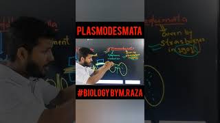 plasmodesmata cell cellbiology biology kingdomofbiology celltheunitoflifeclass11 neet 11th [upl. by Anson]