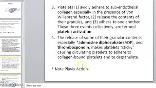 Platelets Thrombocytes [upl. by Morgun278]