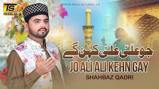 Jo ali ali ken ge  Qaseeda by shahbaz qadri ts gold 2018 [upl. by Weylin]