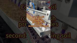 To have a strong plants nursery seedling machine is essentialnursery seeds vegetables machine [upl. by Aven]