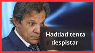 Haddad tentou fugir  Gaúcho de Brasília [upl. by Ghassan802]