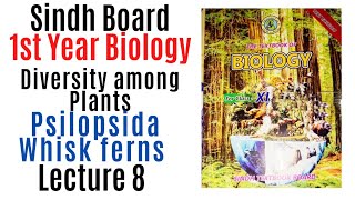 psilopsida  sub division psilopsida Diversity among plants 1st Year biology Sindh text book board [upl. by Michon377]