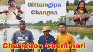 Charigaon Chenimari Fishing Competition  GittamgipaNatok watani video  esearning8299 [upl. by Annasiul990]