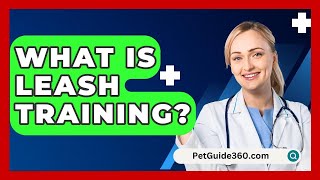 What Is Leash Training  PetGuide360com [upl. by Aynav317]