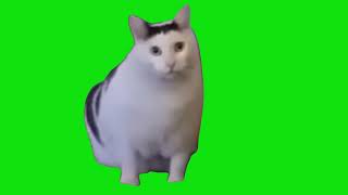 Cat Saying Huh Meme Green Screen Template [upl. by Hanni]