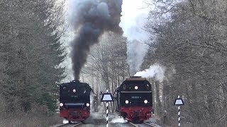 Doppelausfahrt Eisfelder Talmühle  Parallel run with steam HD [upl. by Hanonew]