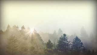 Trees and Fog Church Motion Graphic  Sharefaithcom [upl. by Buckels]