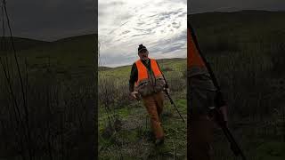 Hunting pheasants and chukars birdhunting hunters uplandhunting hunting chukarhunting hunt [upl. by Koeninger]