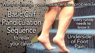 Somatics for Tight CALVES  FOOT PAIN Calf Pandiculation Sequence Foot Cramps Plantar Fasciitis [upl. by Remmus]