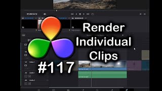 DaVinci Resolve Tutorial How To Render Individual Clips [upl. by Aticilef]